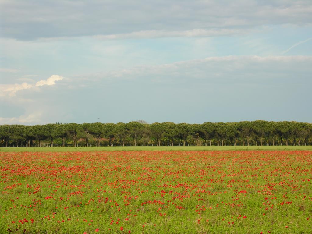 Appartamenti Villaggio San Siro Bibione Zewnętrze zdjęcie